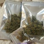 Profile Picture of trinashightower (@trinashightower) on Instagram