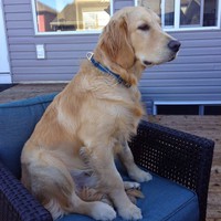 Profile Picture of Jason Weightman (@jason-weightman-2) on Quora