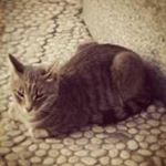 Profile Picture of jageman (@jageman.imgiuznes.01601) on Instagram