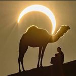 Profile Picture of Marthe Engler (@martheengler) on Instagram