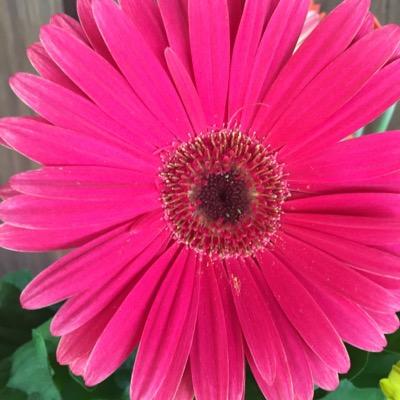 Profile Picture of Kelly Wilkins (@KellyWilkins19) on Twitter