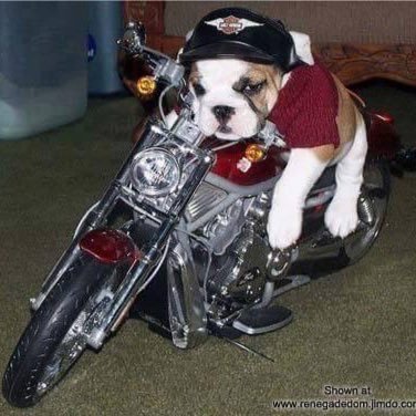 Michael Haberman - Twitter Profile Picture of Michael Haberman (@michaellovedeb2) on Twitter