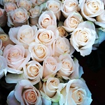 Profile Picture of Carly Massey (@carly386) on Flickr