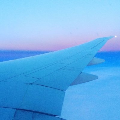 Profile Picture of Lara Wong (@TheCripplePerks) on Twitter