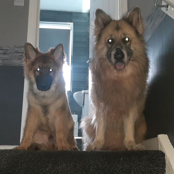 Profile Picture of David Kirkland (@@davidkirkland30) on Tiktok