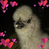 Profile Picture of Tammy Hale (@tammy-hale-23) on Quora