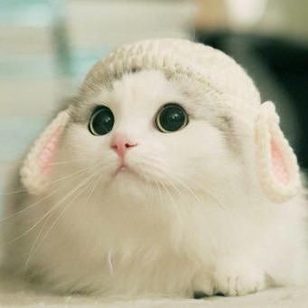 Profile Picture of Time (@dustinvegapvm) on Tiktok