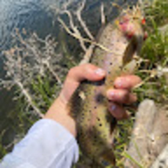 Profile Picture of Ruby Skubella (@rskubella) on Poshmark