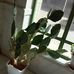 Profile Picture of Adam Barfi (@adam.barfi.1232760) on Facebook