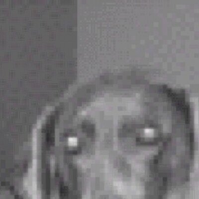 Profile Picture of Andrew Brackin (@andrewgbrackin) on Twitter