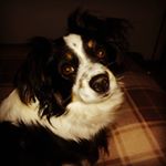 Profile Picture of Adam Galay (@adam.galay.3) on Instagram