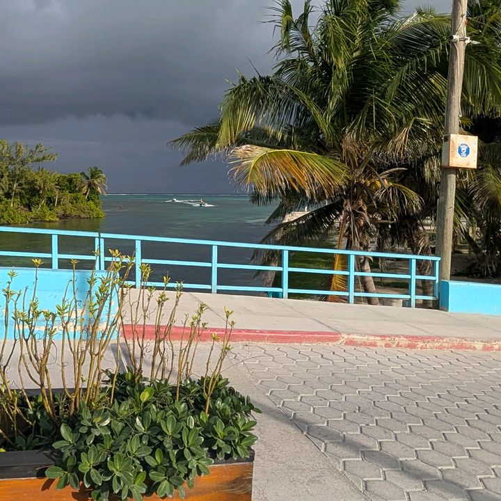 Profile Picture of Craig (@craiger3781) on Tiktok