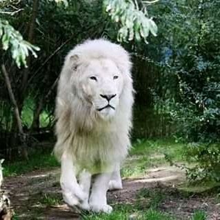 Profile Picture of Jeff Myron (@myron_jeff) on Twitter