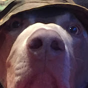 Profile Picture of Lisa Marr (@lisamarr988) on Youtube