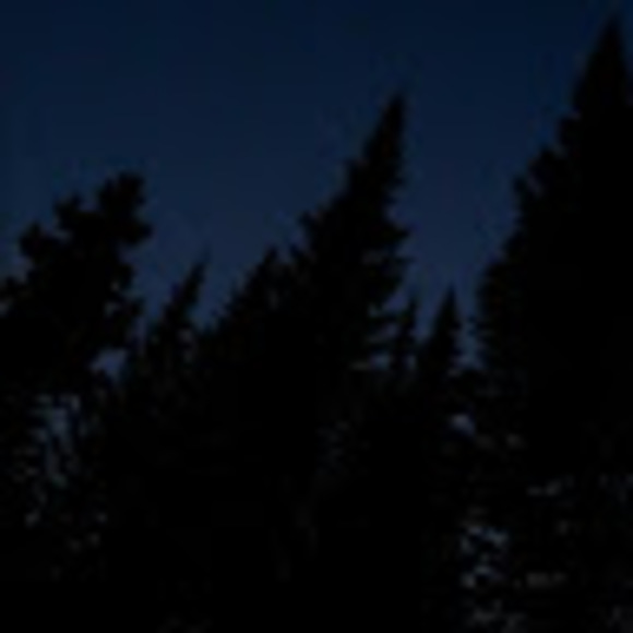 Profile Picture of Kyleigh Goldsberry (@kyleighgirl6) on Poshmark