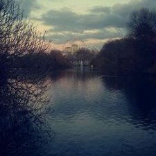 Profile Picture of Matt McAuley (@m4ttjrm) on Twitter