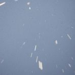 Profile Picture of Kristian Levinsky (@Kristian-Levinsky) on Facebook