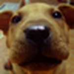 Profile Picture of Cristian David Pinilla (@cristian_pini) on Flickr