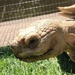 Profile Picture of Caleb Sanchez (@calebsanchezgeno) on Instagram