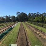 Profile Picture of Steven Adey (@darling.mills.farm) on Instagram