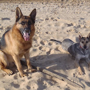 Profile Picture of JUAN CARLOS PASCAL (@juancarlospascal1205) on Youtube