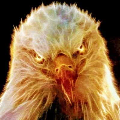 Profile Picture of Glen Kendall (@GlenKendall6) on Twitter