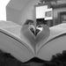 Profile Picture of Eva Schreiber (@evaschreiber123) on Pinterest