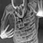 Profile Picture of Hoohaahoo (@hoohaahoo) on Flickr