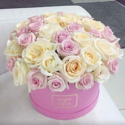 Profile Picture of Raneem Shubair (@Raneemshubair1) on Twitter