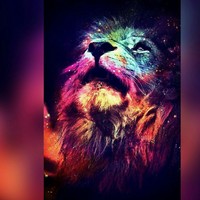 Profile Picture of Liza Daniel (@liza-daniel-1) on Quora