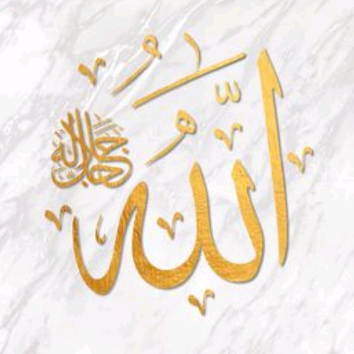 Profile Picture of Omar Nikhat (@omarnikhat) on Tiktok