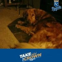 Profile Picture of Patrick Rew (@patrick-rew) on Quora