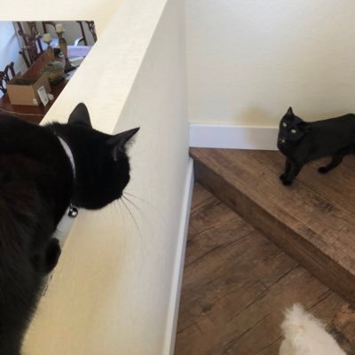 Profile Picture of Jay Stemmer (@JayStem) on Twitter