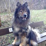 Profile Picture of Michael (@liberti_michael) on Instagram