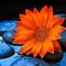 Profile Picture of Claudia Mazza (@Claudia-Mazza) on Facebook