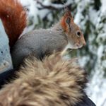 Profile Picture of joy mccormick (@mccormick9812xg) on Instagram