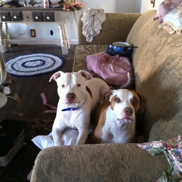 Profile Picture of Victoria lisle Lisle (@taylorwest66) on Poshmark