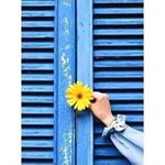 Profile Picture of bon bona (@manar_mohammed_khalifa) on Instagram