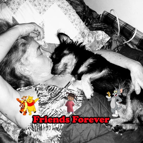 Profile Picture of Audrey Stokley (@audreystokley63) on Poshmark