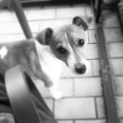 Profile Picture of Brian Beahn (@bigbeahner) on Twitter