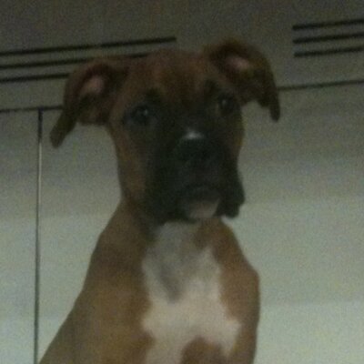 Profile Picture of Jay Hirano (@aunxrrin) on Twitter