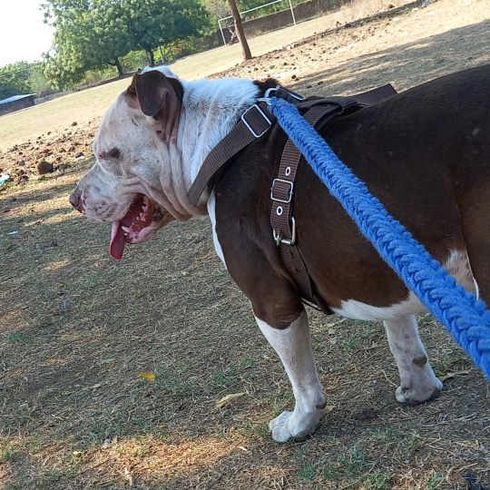 Profile Picture of Edwin Platero (@platero.3) on Tiktok