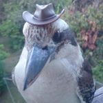 Profile Picture of Greg Julian (@julian447700) on Instagram