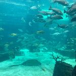 Profile Picture of Haley fox (@haleyyyfox) on Instagram