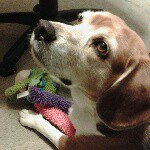 Profile Picture of phyllis.berkey (@phyllis.berkey) on Instagram