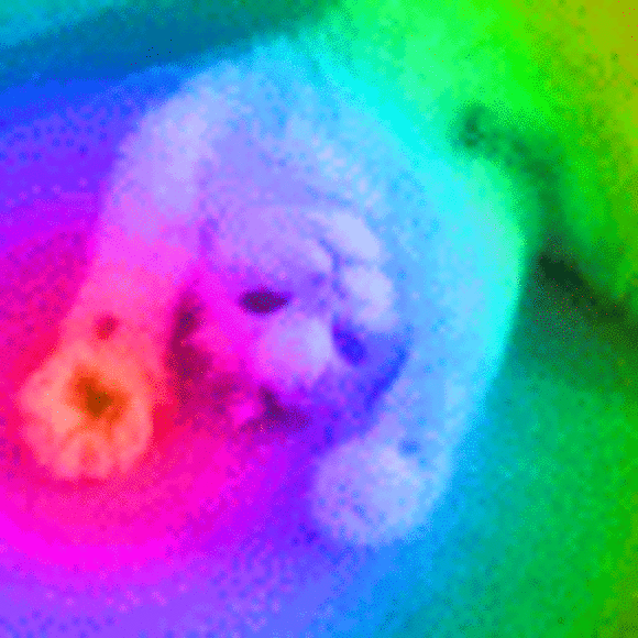 Profile Picture of Potato Butcheeks (@butcheeks053) on Poshmark