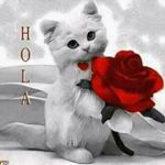 Profile Picture of Ada Valladares (@ada.valladares2) on Instagram