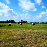 Beth Sevey - Flickr Profile Picture of Beth Sevey (@bethsevey1) on Flickr