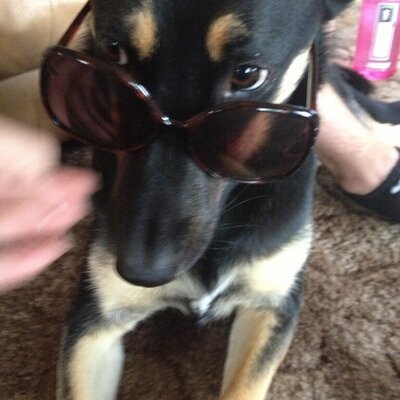 Profile Picture of Sam Waggener (@SamBallerborn) on Twitter