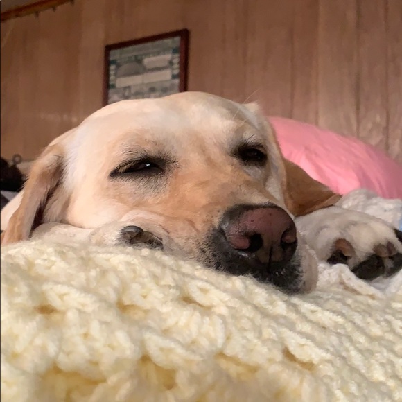 Profile Picture of Breanna Mrozowski (@b_mrozowski) on Poshmark